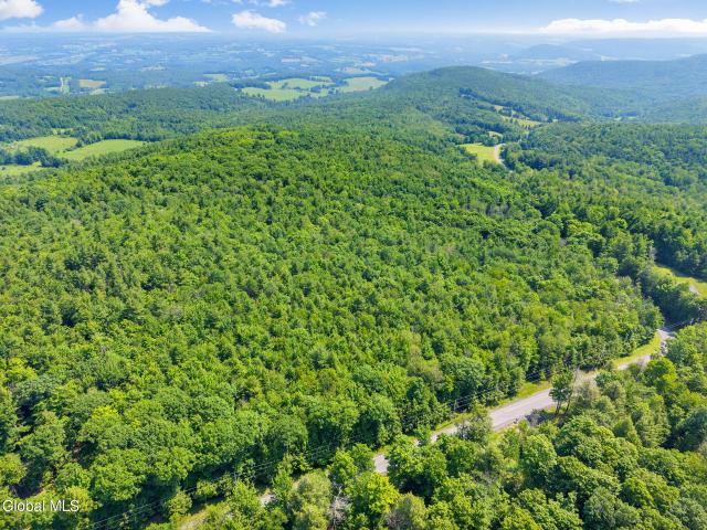 Land for sale in Middleburgh, New York