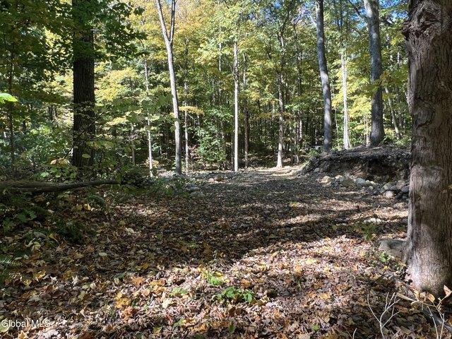 Land for sale in Diamond Point, New York