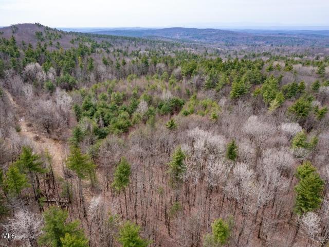 Land for sale in Brainard, New York