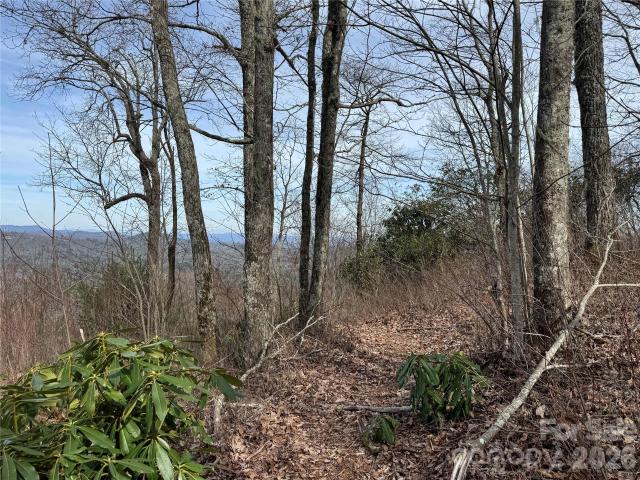 Land for sale in Transylvania, North Carolina