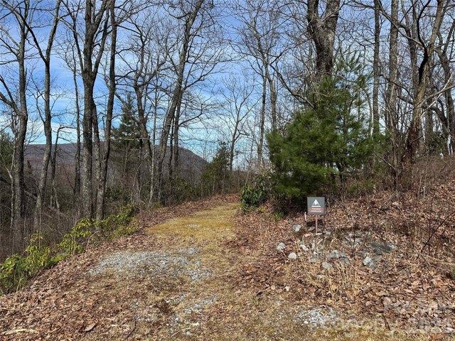 Land for sale in Transylvania, North Carolina