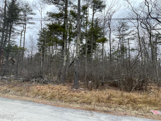 Property for sale in Acra, New York