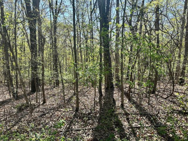 Land for sale in Stone, Missouri