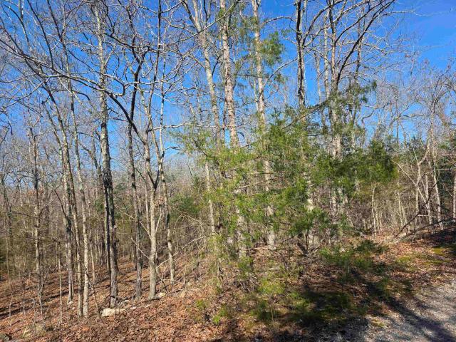 Land for sale in Ark