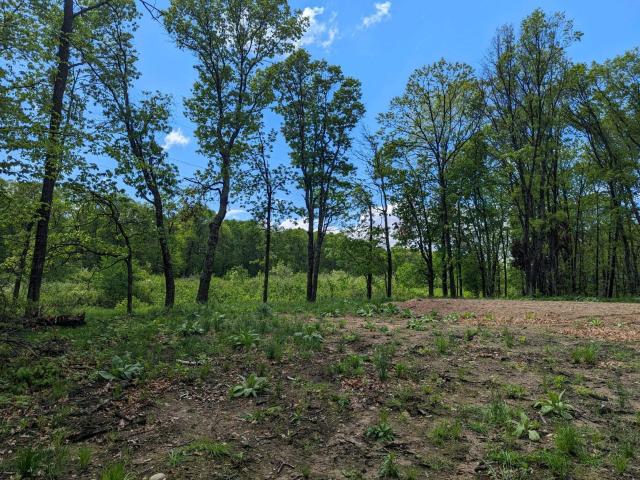 Land for sale in Crosslake, Minnesota