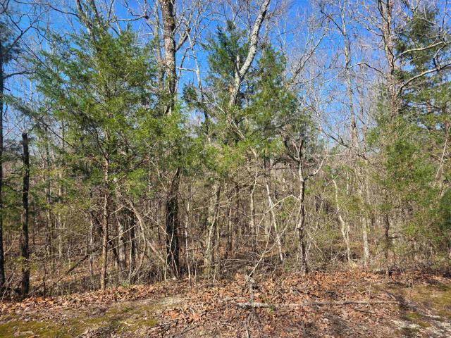 Land for sale in Ark