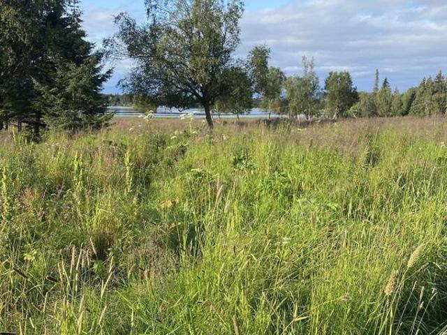 Land for sale in Homer
