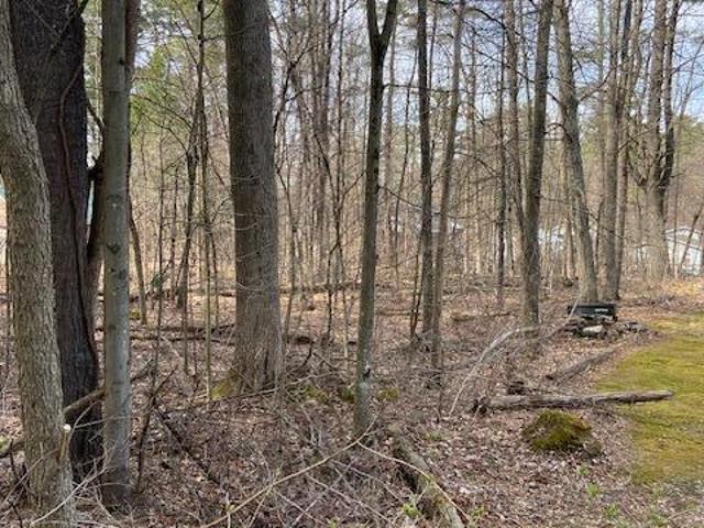 Land for sale in New York