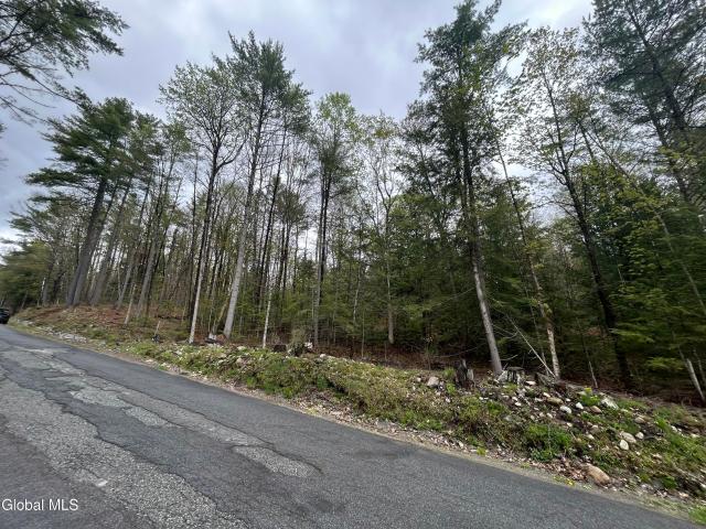 Land for sale in Bolton Landing, New York