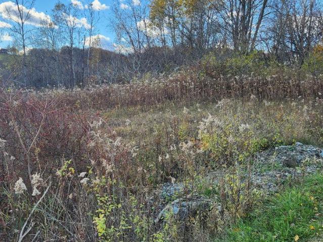 Land for sale in Comstock, New York