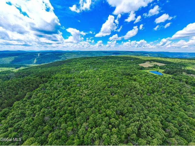 Land for sale in Town of Middleburgh, Schoharie County