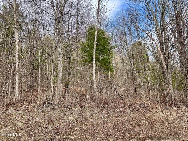 Land for sale in New York