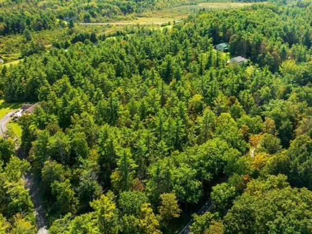 Land for sale in Berne, New York