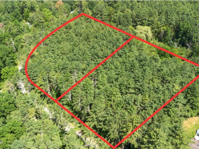 Land for sale in Acra, New York