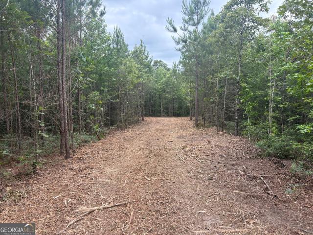 Land for sale in Sandersville, Georgia
