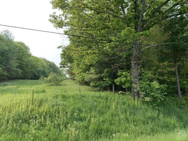 Land for sale in East Nassau, New York