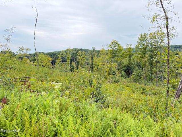 Land for sale in Salem, New York