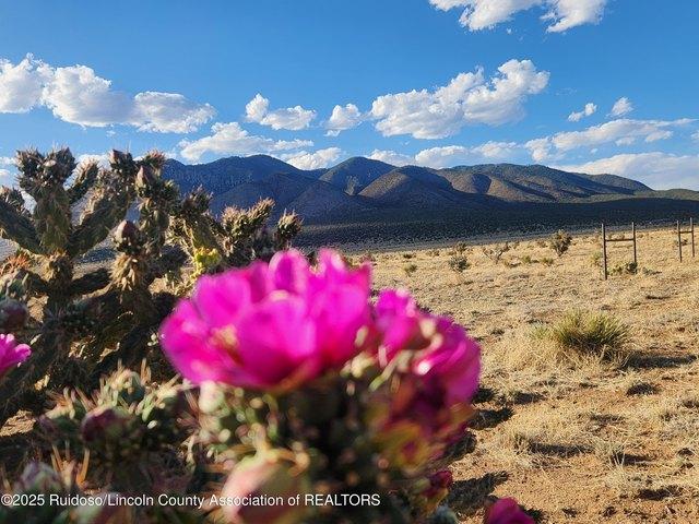 Land for sale in Carrizozo, New Mexico