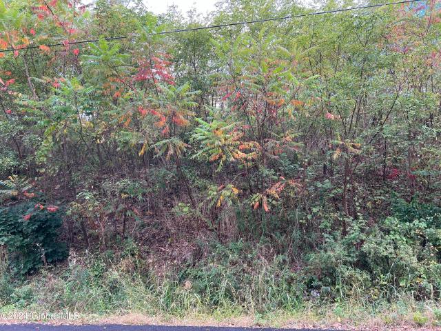 Land for sale in Schuylerville