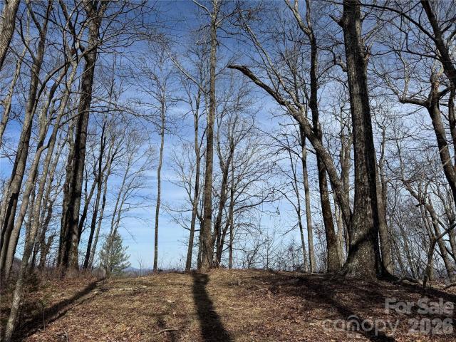 Land for sale in Transylvania, North Carolina