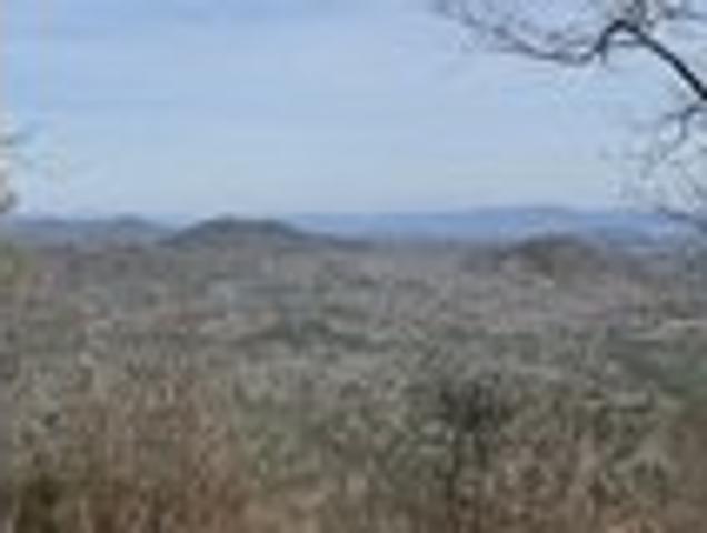 Land for sale in Transylvania, North Carolina