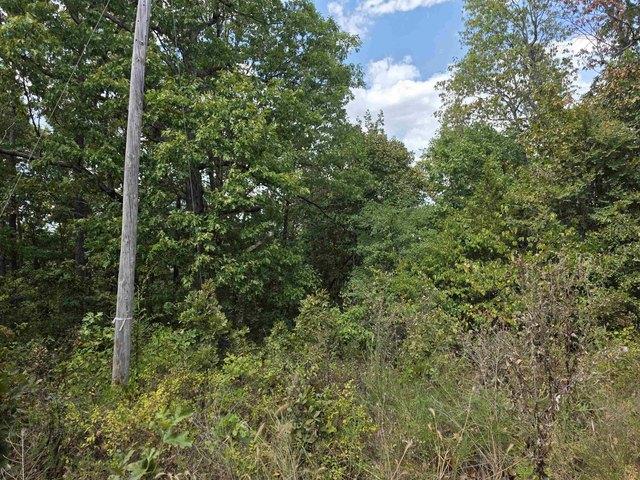 Land for sale in Ark