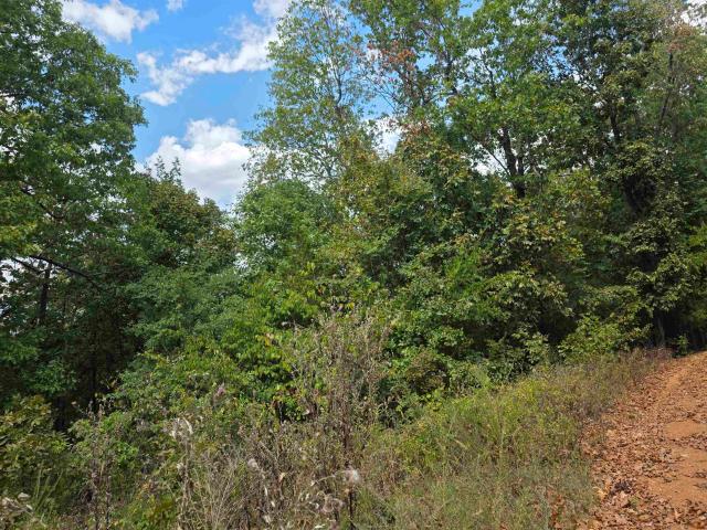 Land for sale in Ark