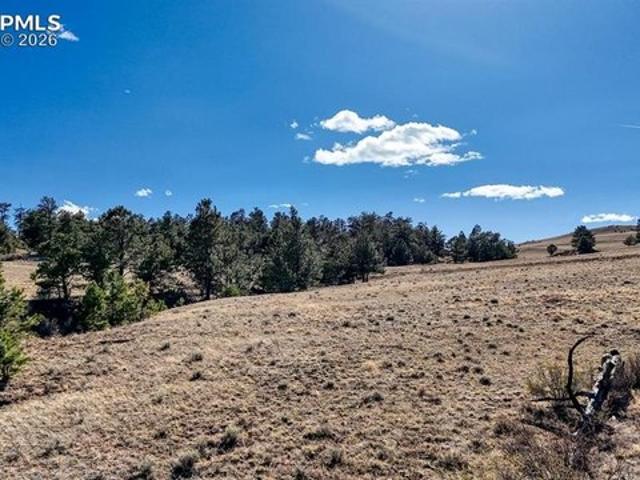Land for sale in Hartsel, Park County