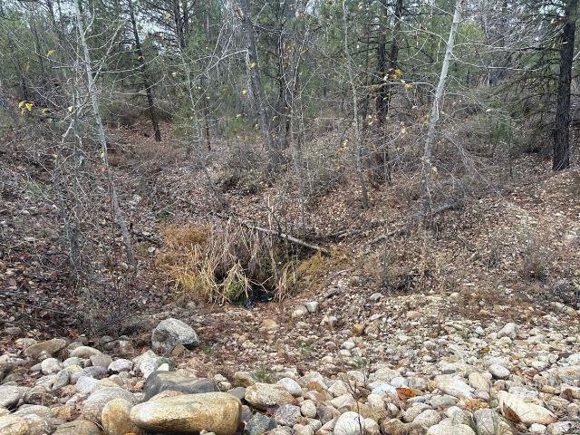 Land for sale in Idaho City, Idaho