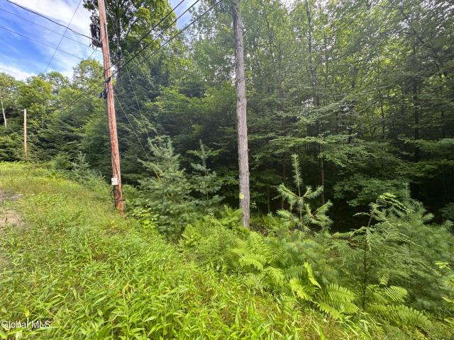 Land for sale in Bakers Mills, New York