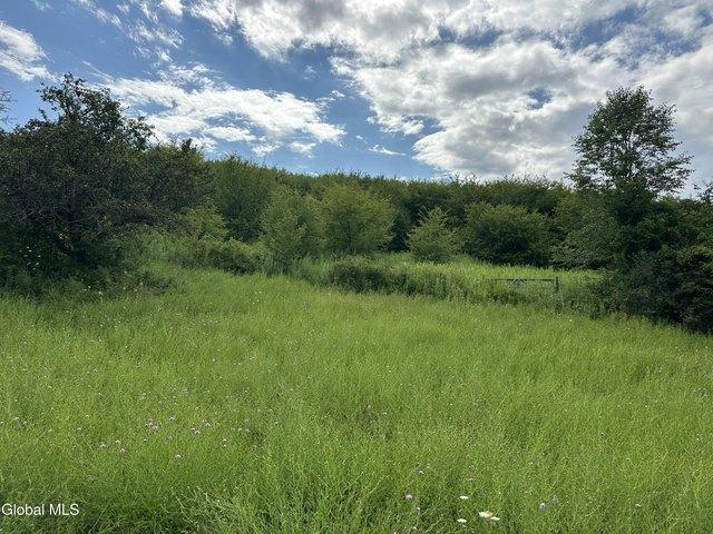 Land for sale in Chatham, New York