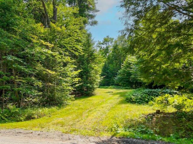 Land for sale in Essex, New York