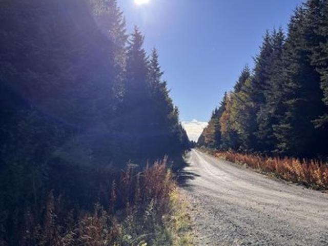 Land for sale in Ninilchik