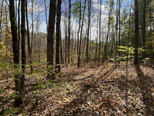 Land for sale in Comstock, New York