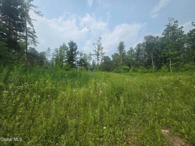 Land for sale in Fort Plain, New York