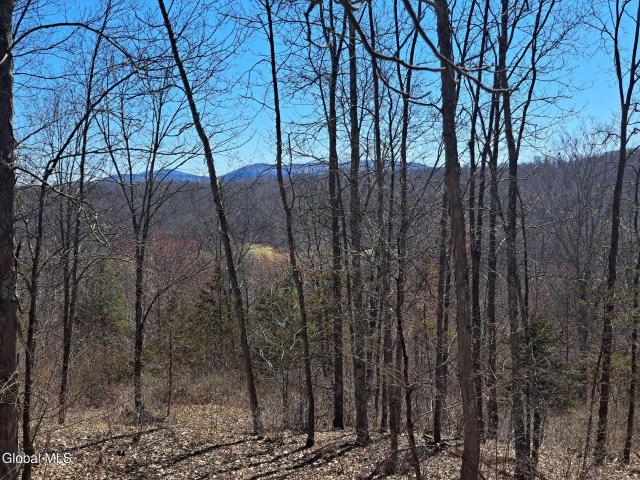 Land for sale in Comstock, New York
