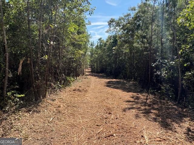 Land for sale in Sandersville, Georgia