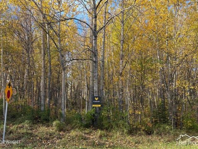 Land for sale in Palmer