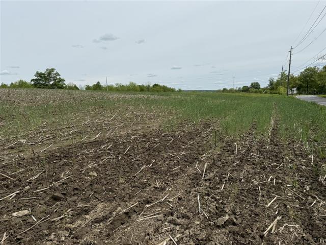 Land for sale in New York