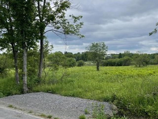 Land for sale in Canajoharie, New York
