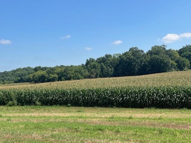 Land for sale in Cross Plains, Wisconsin