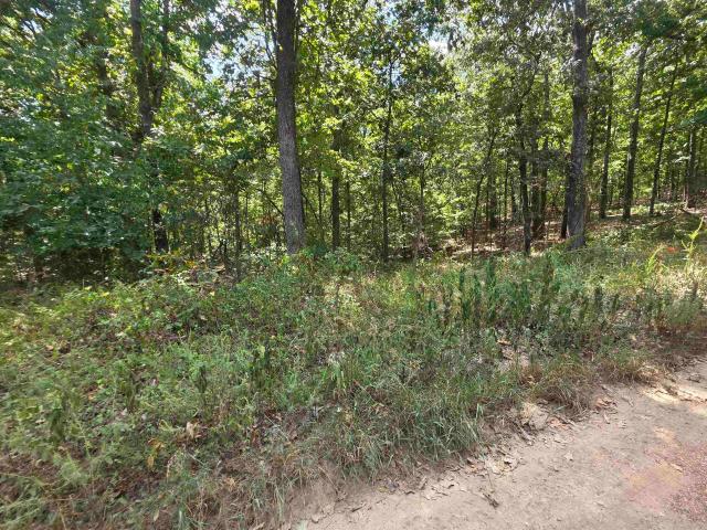 Land for sale in Ark