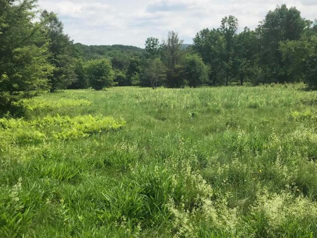 Land for sale in Chatham, New York