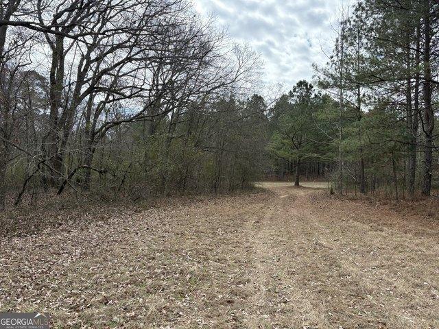 Land for sale in Keysville, Georgia