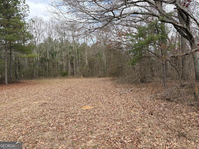 Land for sale in Keysville, Georgia