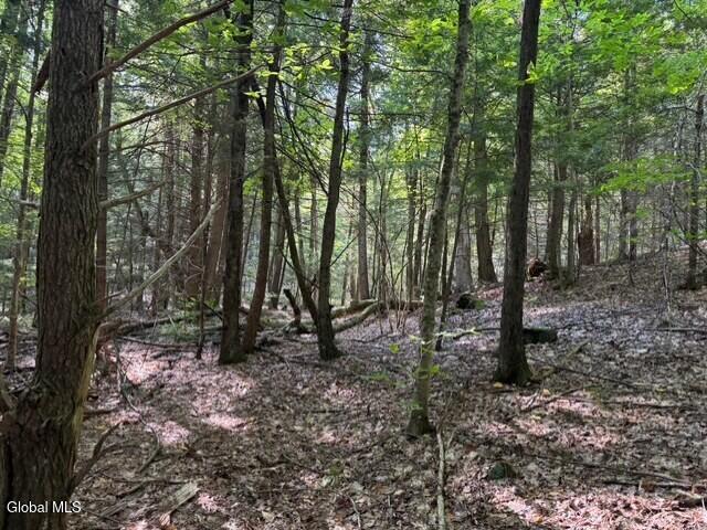Land for sale in Bolton Landing, New York