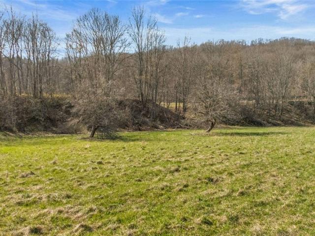 Land for sale in East Worcester, New York