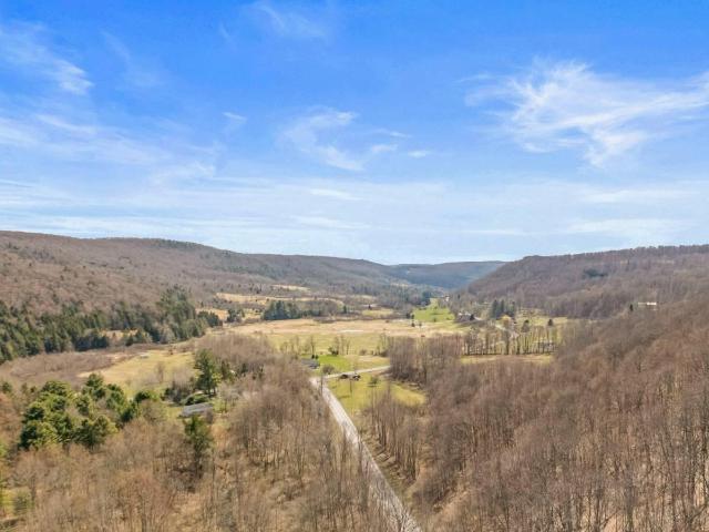 Land for sale in East Worcester, New York