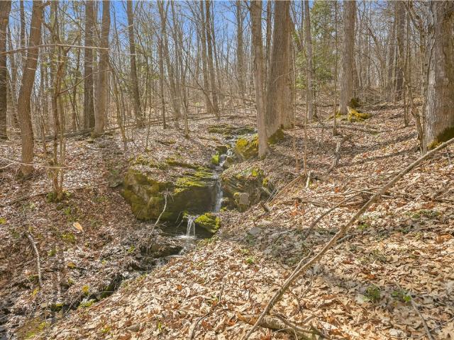Land for sale in East Worcester, New York