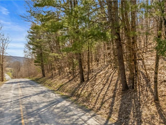 Land for sale in East Worcester, New York